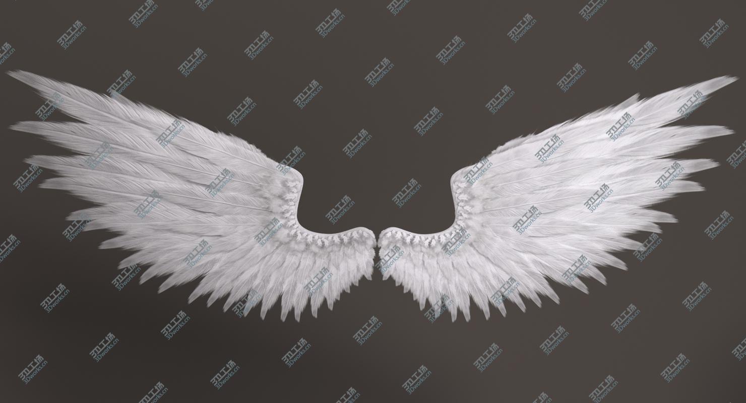 images/goods_img/202105072/3D Angel Wings/3.jpg